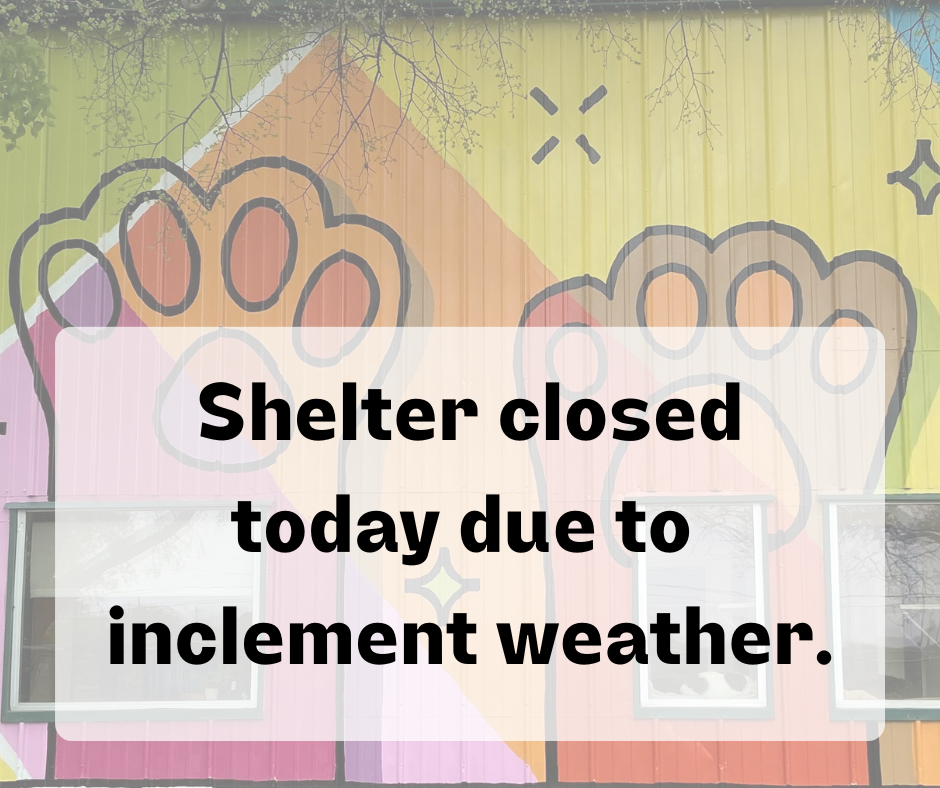 Shelter Closed Jan. 31