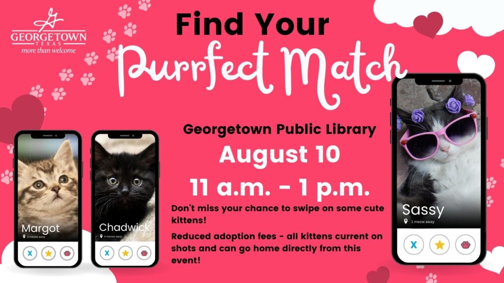 Kittens in the Library Aug. 10
