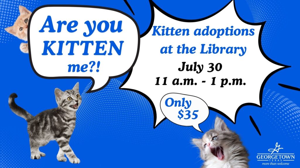 Kittens in the Library July 30